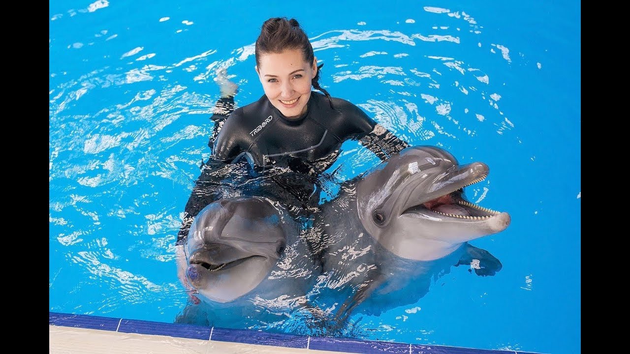 Antalya Dolphins show and Swimming with Dolphin - TourLider.com