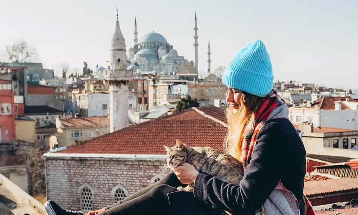 The best time to travel to Istanbul for shopping and entertainment 1