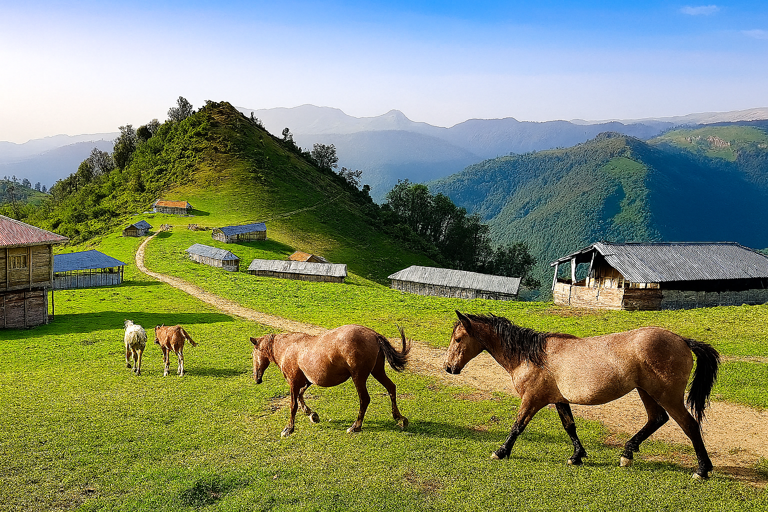 اسب‌های آزاد در چراگاه‌های روستای اولسبلنگاه با پس‌زمینه کوهستانی