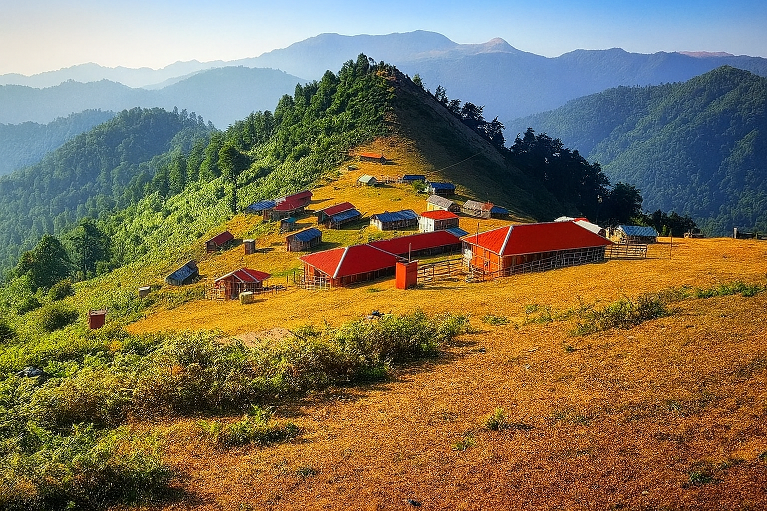منظره تابستانی از ییلاق اولسبلنگاه با نور طلایی
