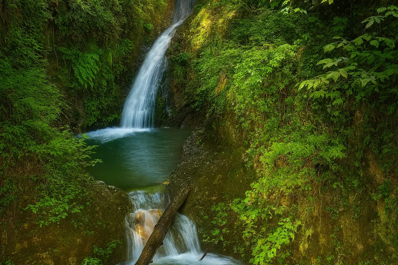 آبشار جنگلی با محیط سرسبز و بکر