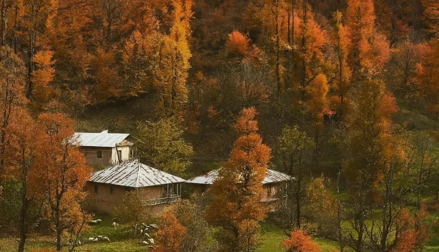 نمای روستای جنگلی در فصل پاییز پلنگ‌دره