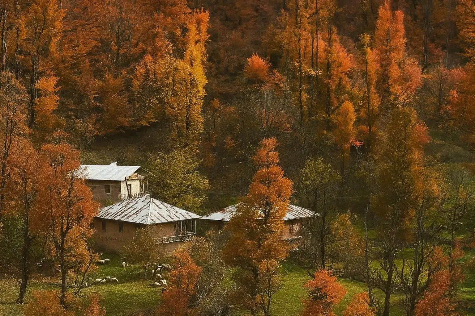 نمای روستای جنگلی در فصل پاییز پلنگ‌دره