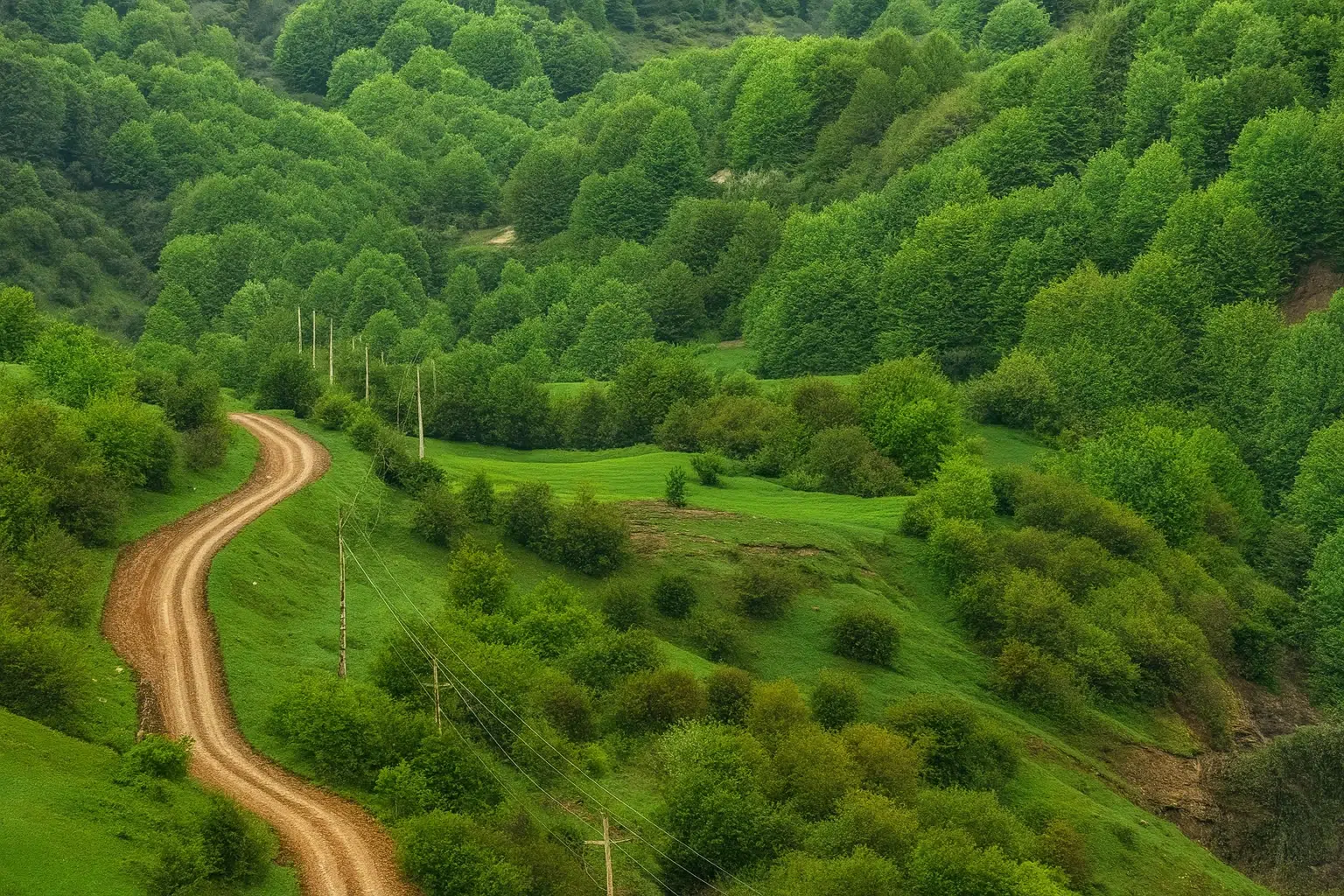 مسیرهای دسترسی به روستای داماش از میان جنگل‌های سرسبز و جاده خاکی کوهستانی.