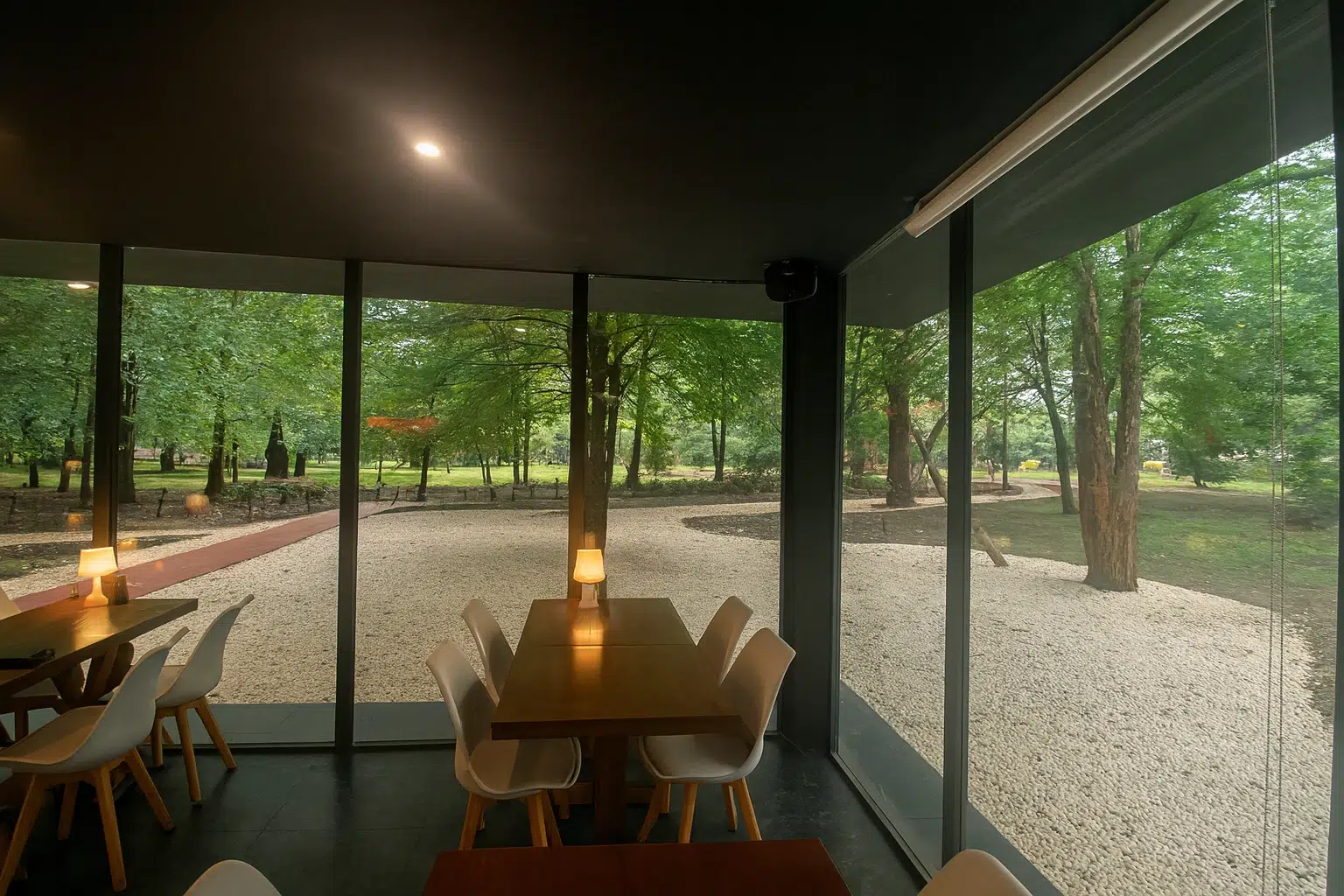 فضای دنج کافه کتاب سایه با قفسه‌های پر از کتاب و میزهای چوبی، مناسب برای معرفی بهترین کافه های رشت.