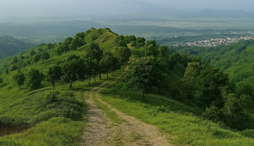 چشم‌انداز مه‌آلود جنگل‌های املش در دل طبیعت بکر گیلان