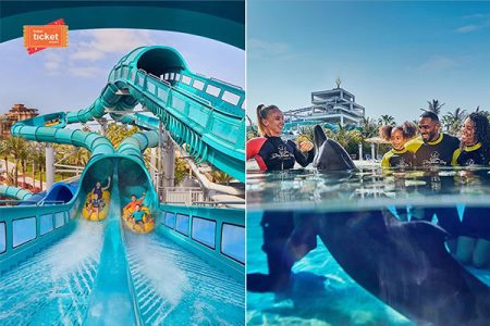 پارک آبی یاس و برادران وارنر