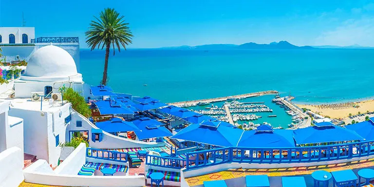 Tunisia BouSaid 11zon