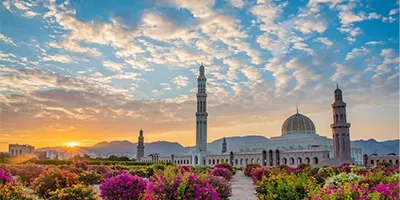 oman 11zon